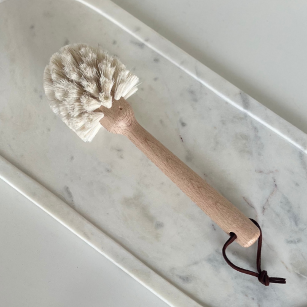 Dish Brush