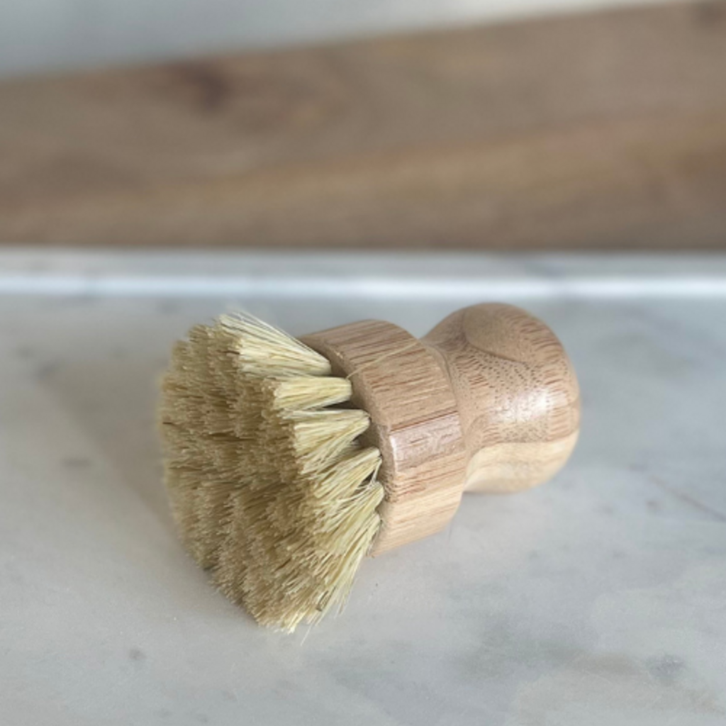 Handle-less Dish Brush