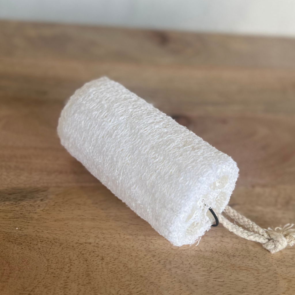 Loofa Brush