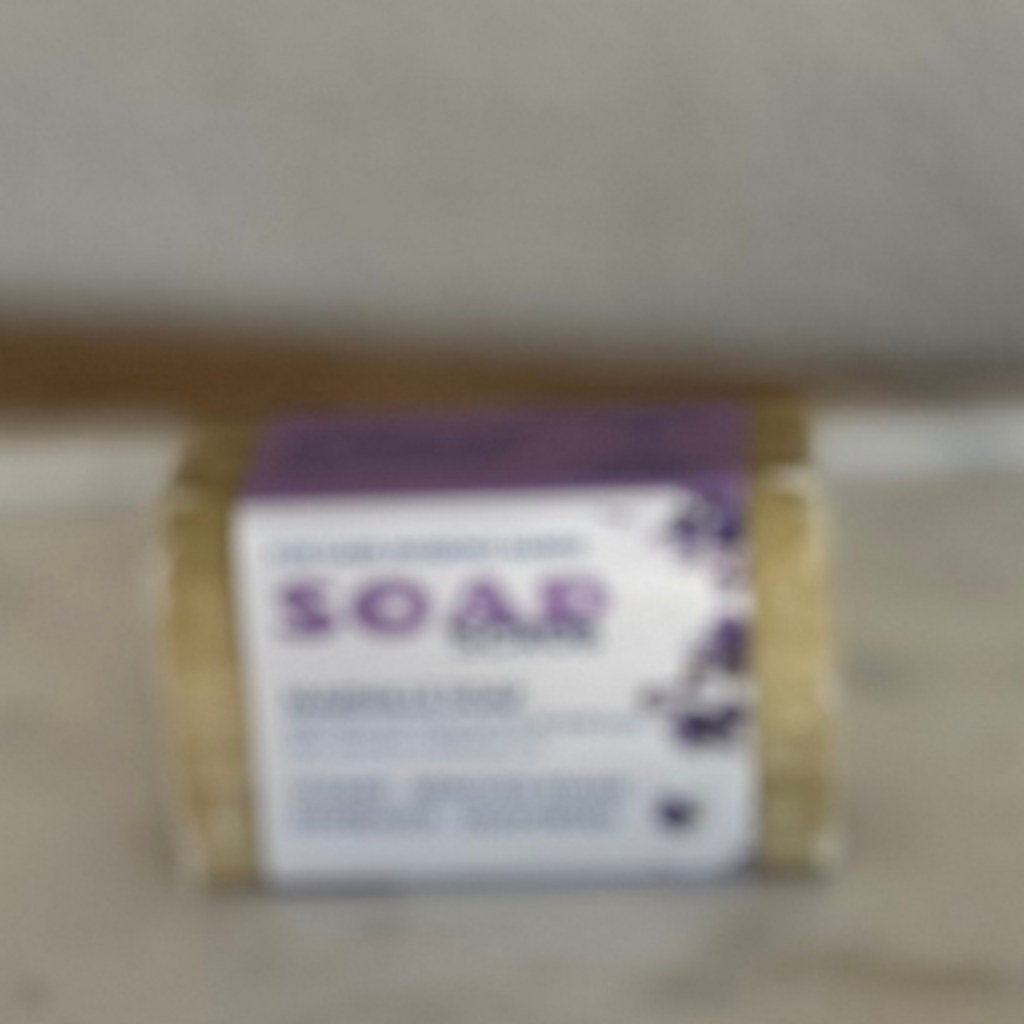 Marseille Scrub Bar Lavander
