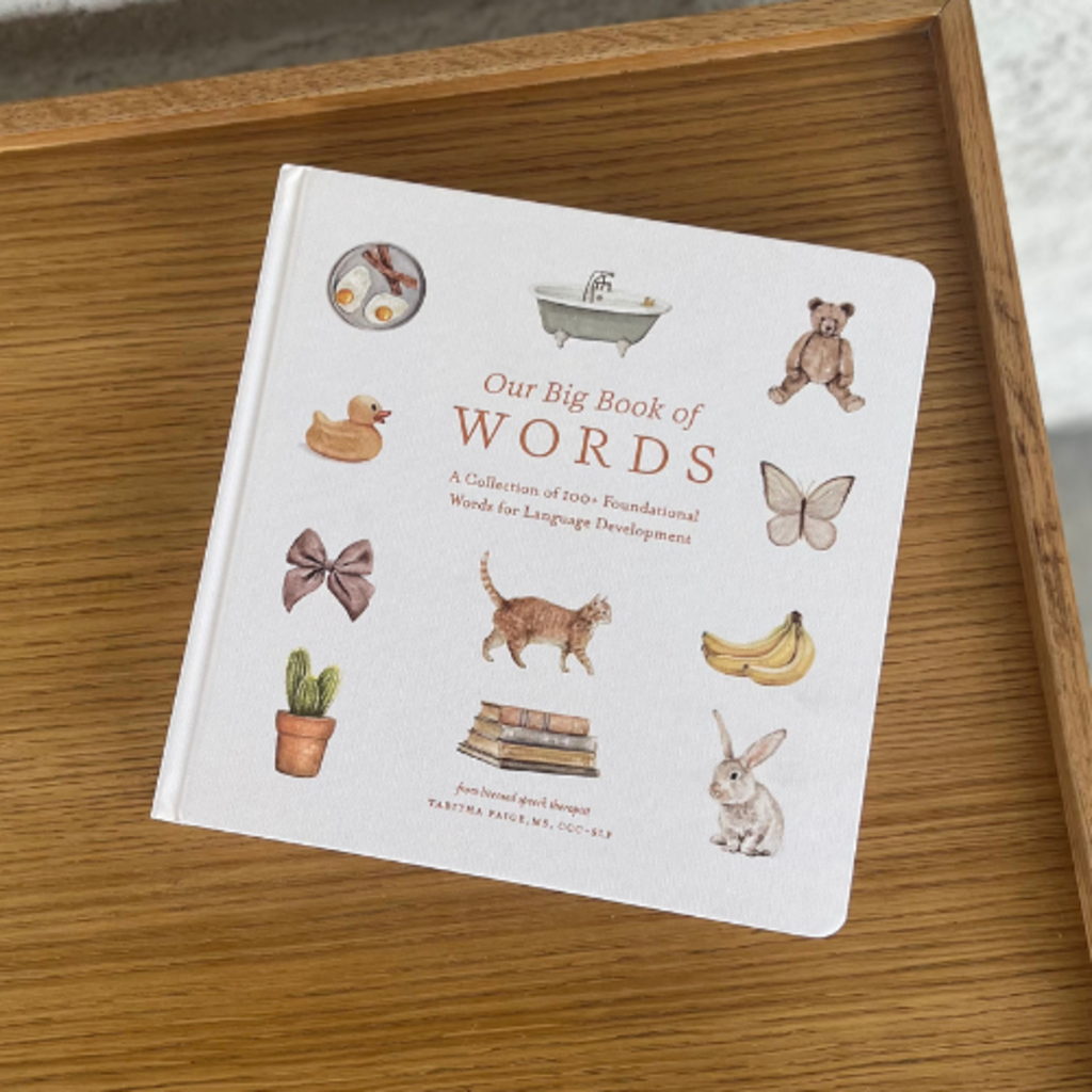 Our Big Book of First Words