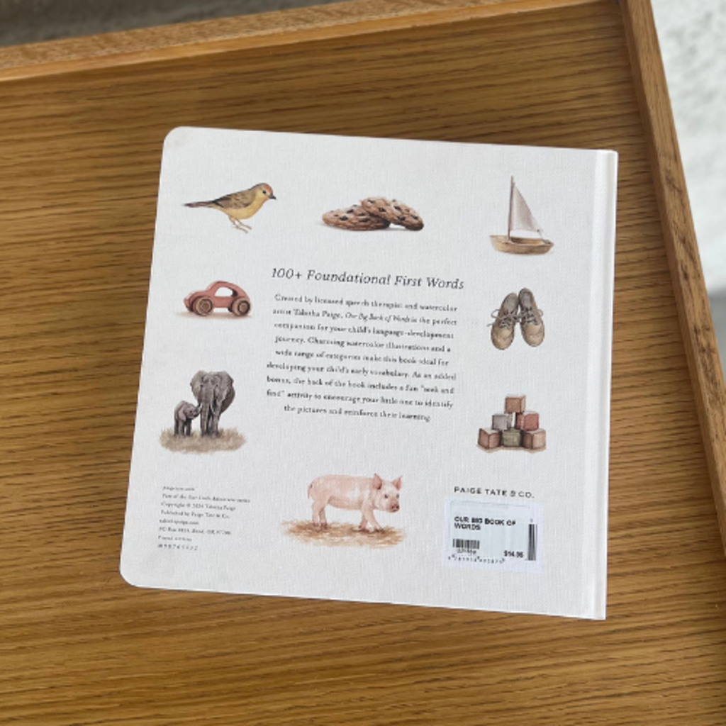 Our Big Book of First Words