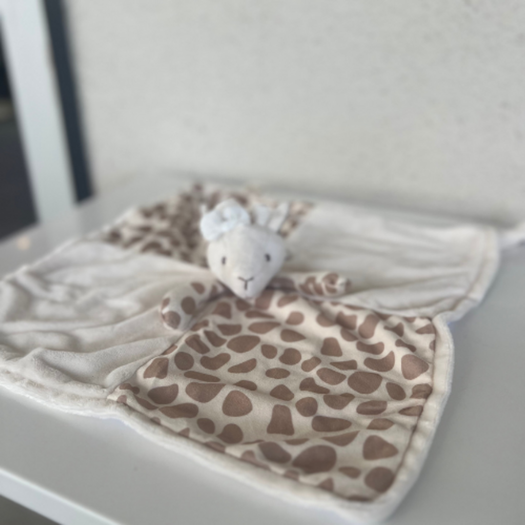 Lucy Blankie