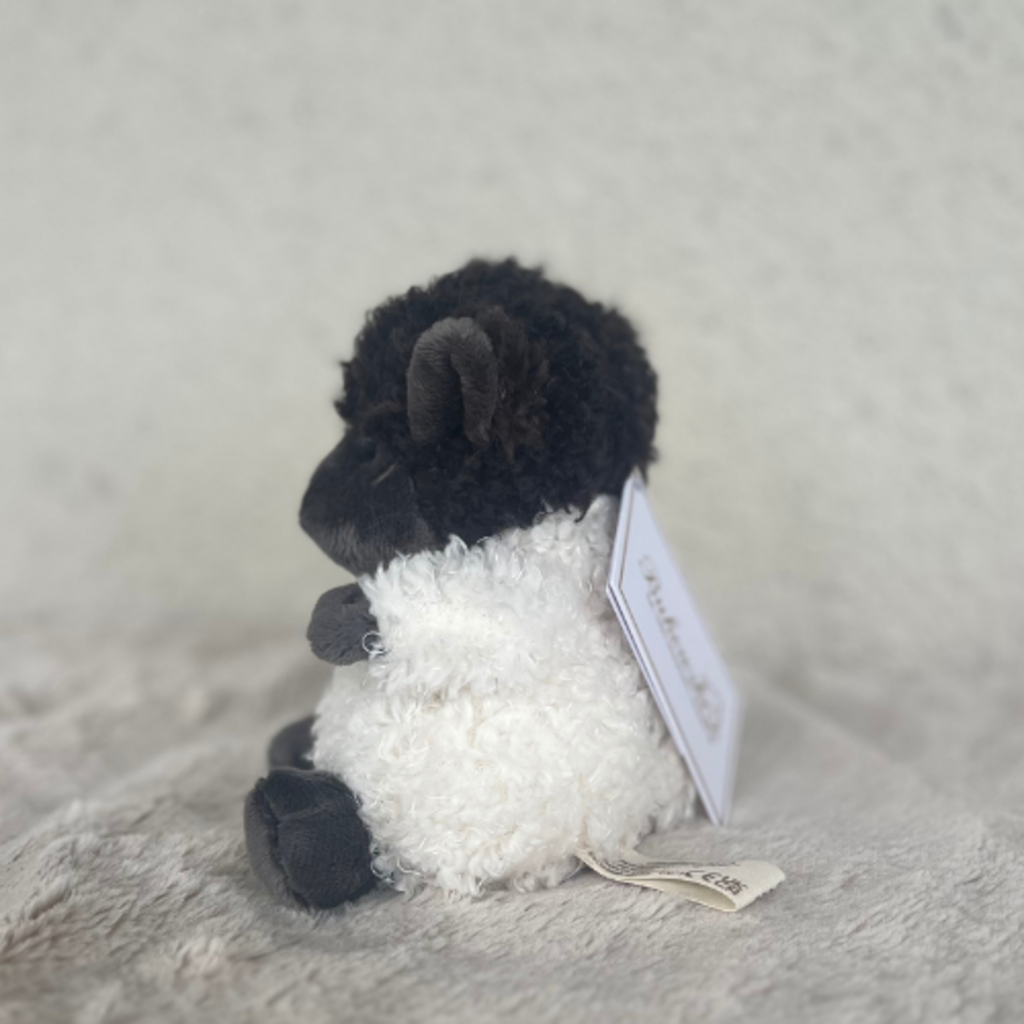 Black Sheep